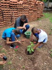 Volta às aulas: alunos de Cuiabá são recepcionados com ação de plantio e distribuição de árvores